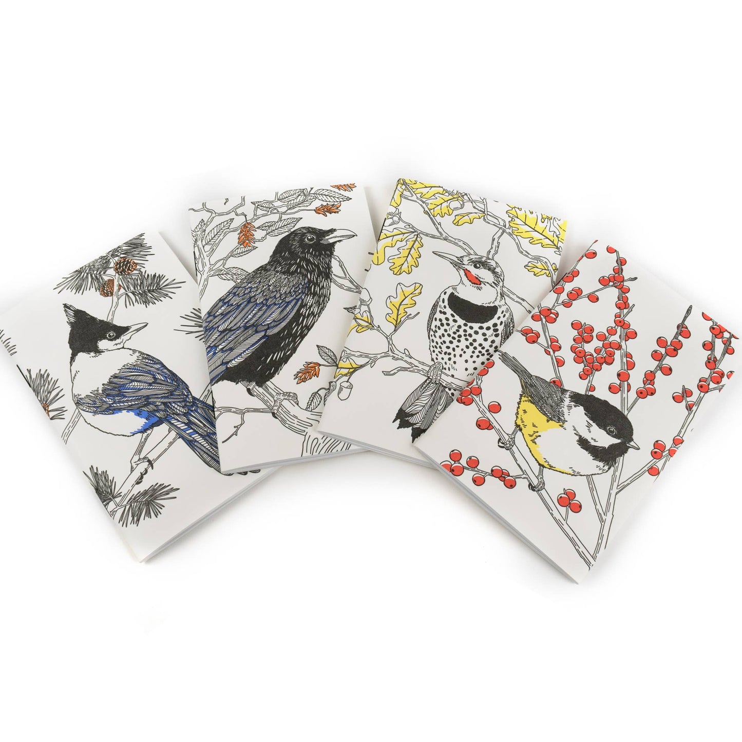 Steller's Jay Nature Birds Series - Pocket Notebook: Plain Pages