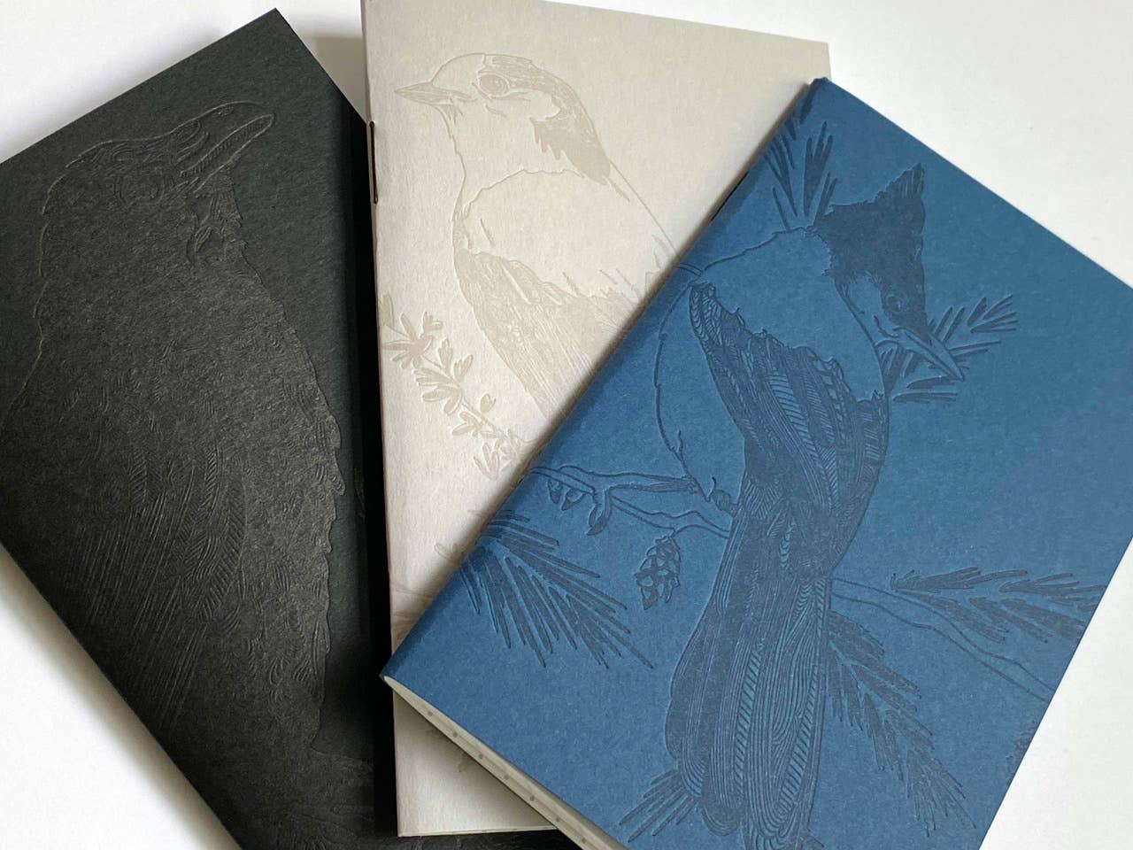 Mono Raven Pocket Notebook: Plain Pages