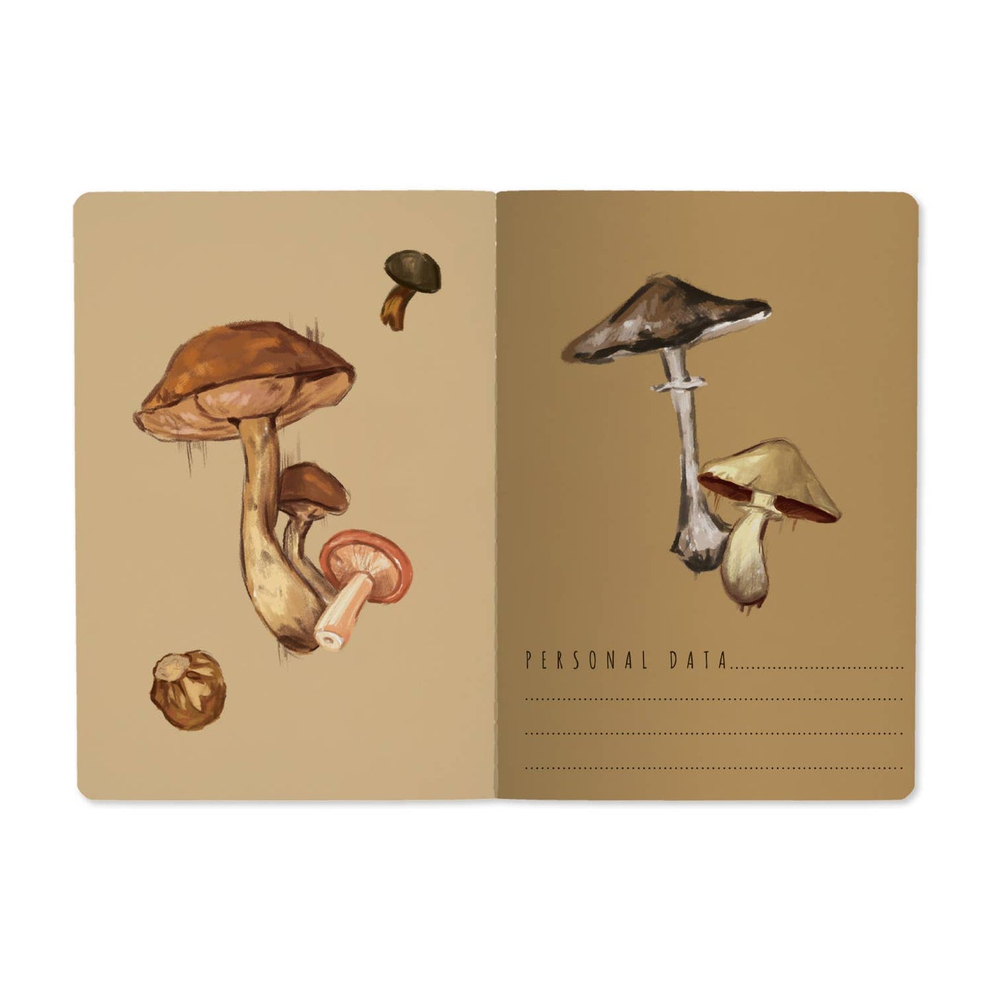 Bruno Visconti- Mushrooms on White