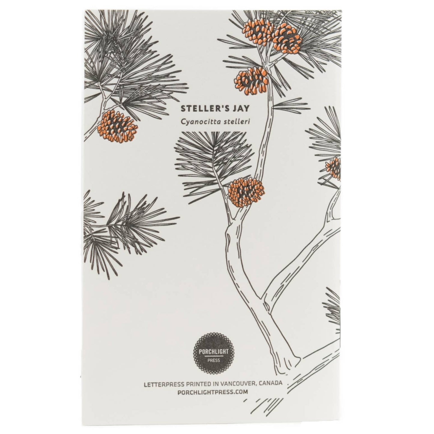 Steller's Jay Nature Birds Series - Pocket Notebook: Plain Pages