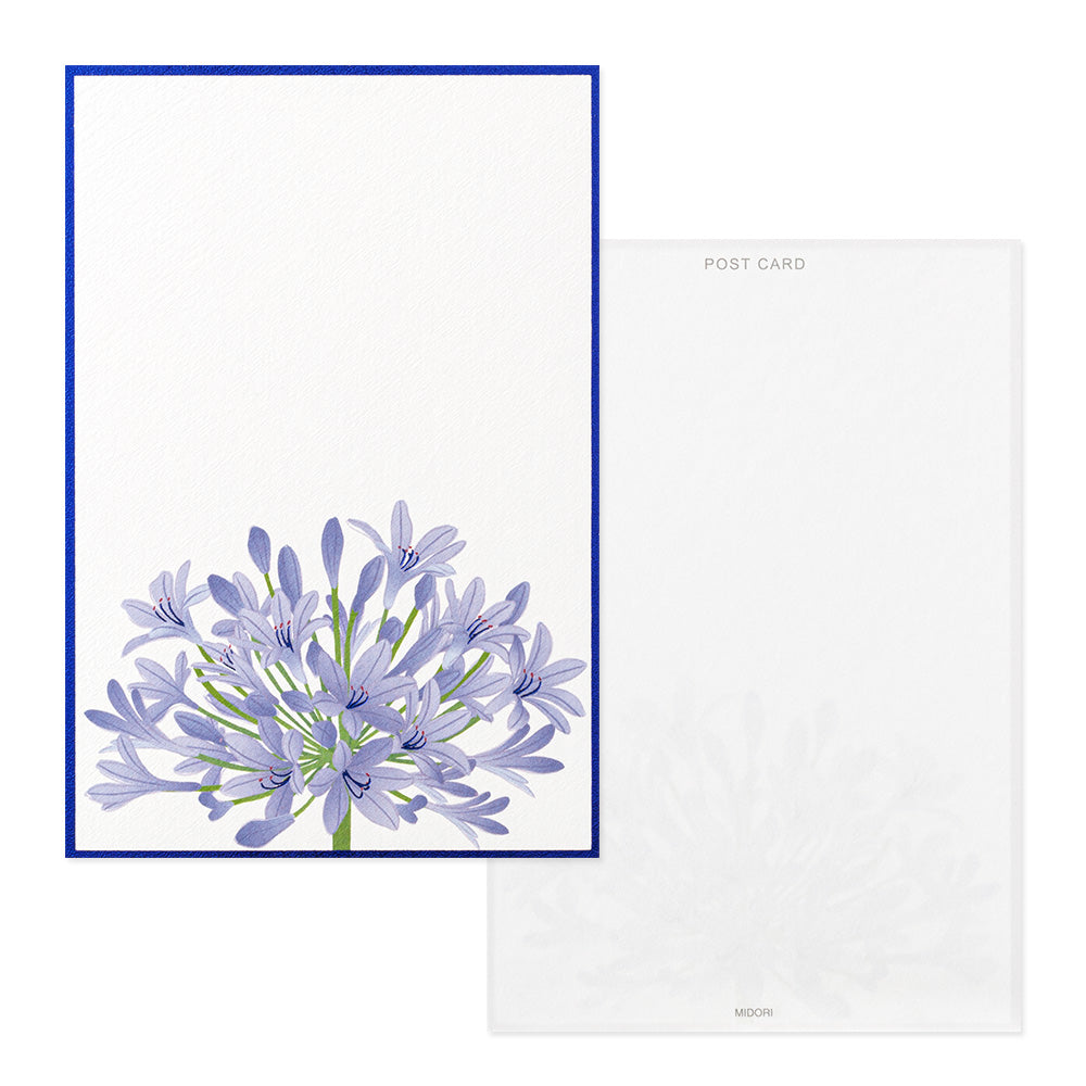 Postcard 732 Foil-Stamping Agapanthus