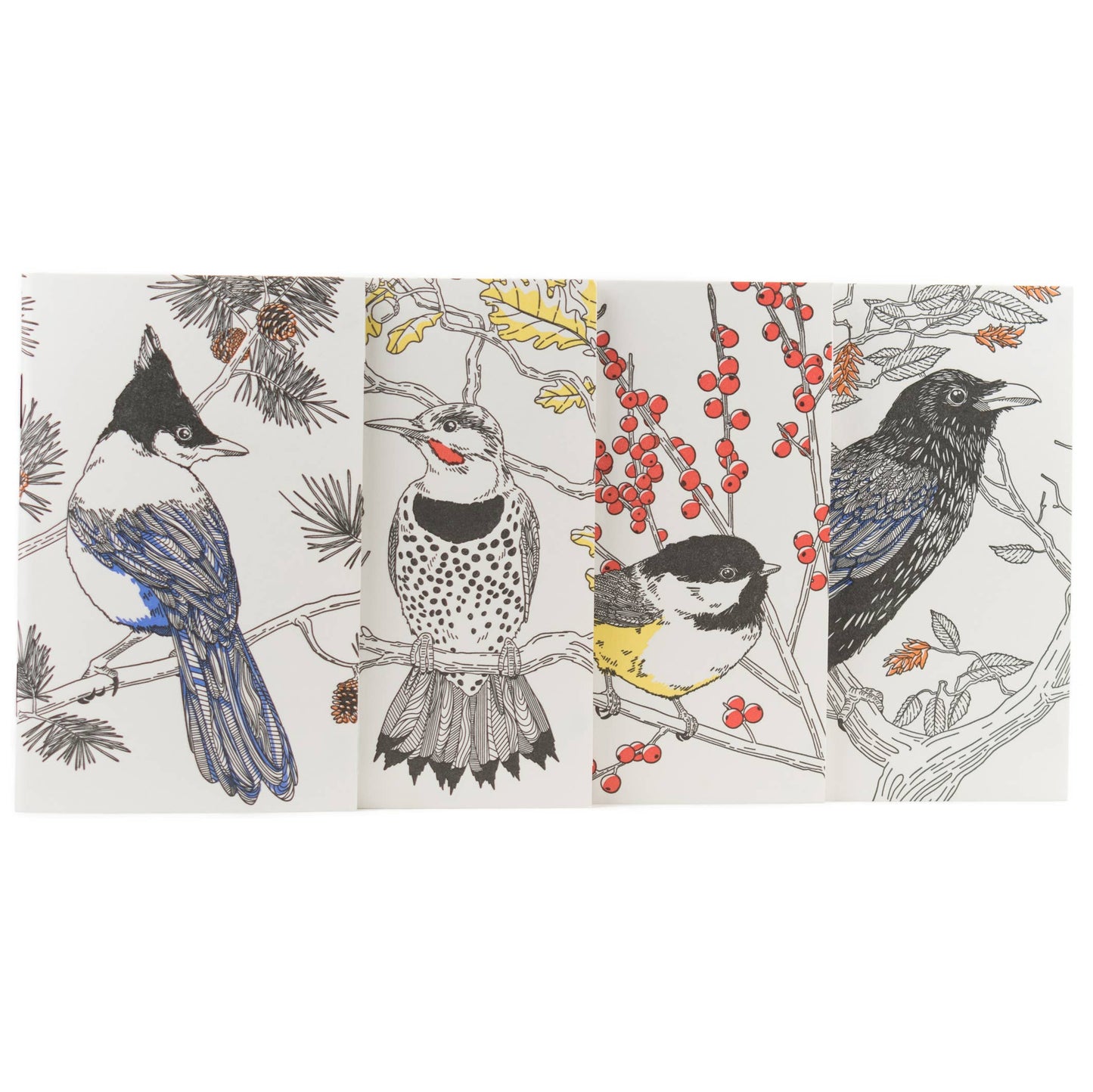 Steller's Jay Nature Birds Series - Pocket Notebook: Plain Pages