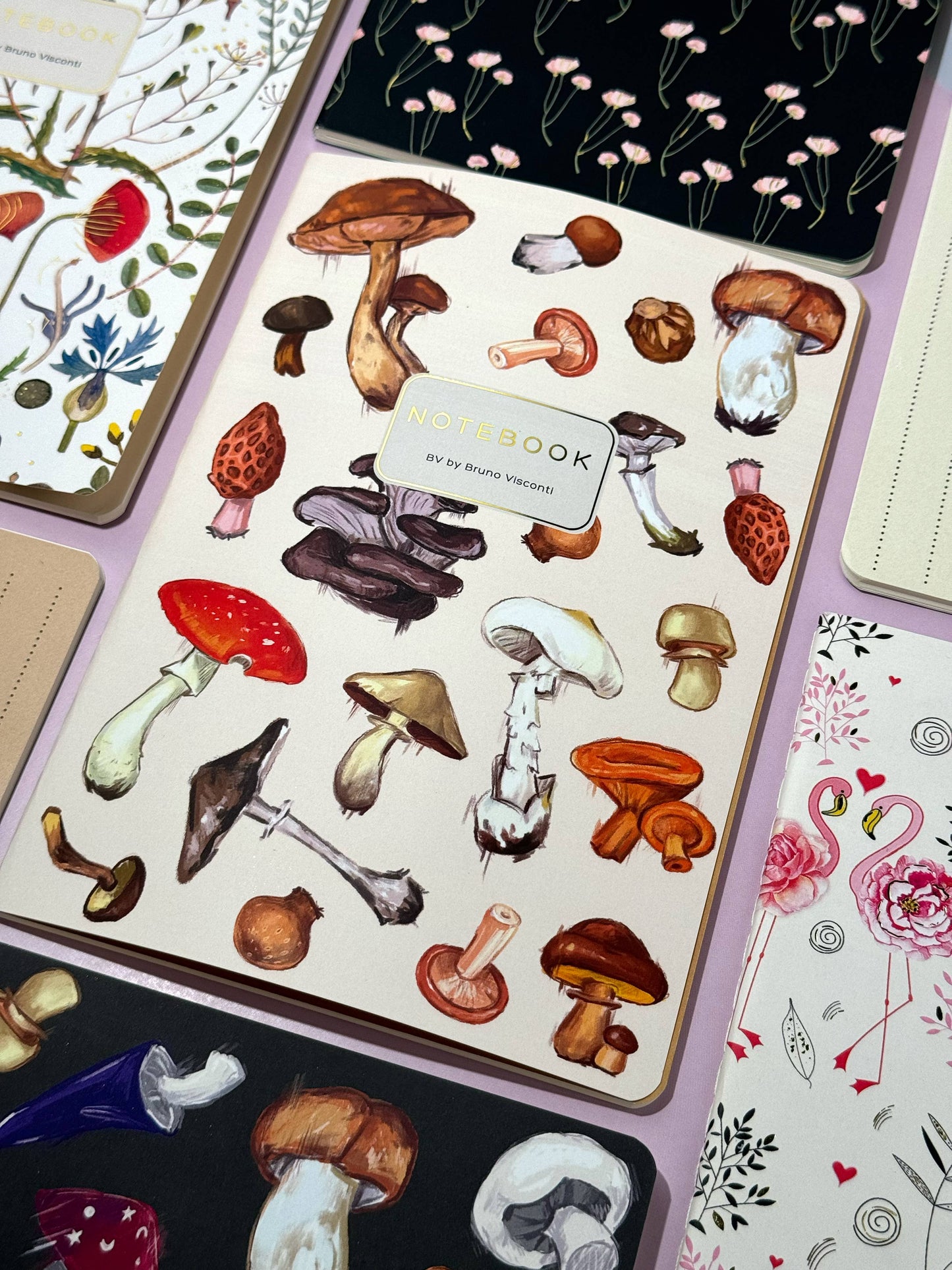 Bruno Visconti- Mushrooms on White