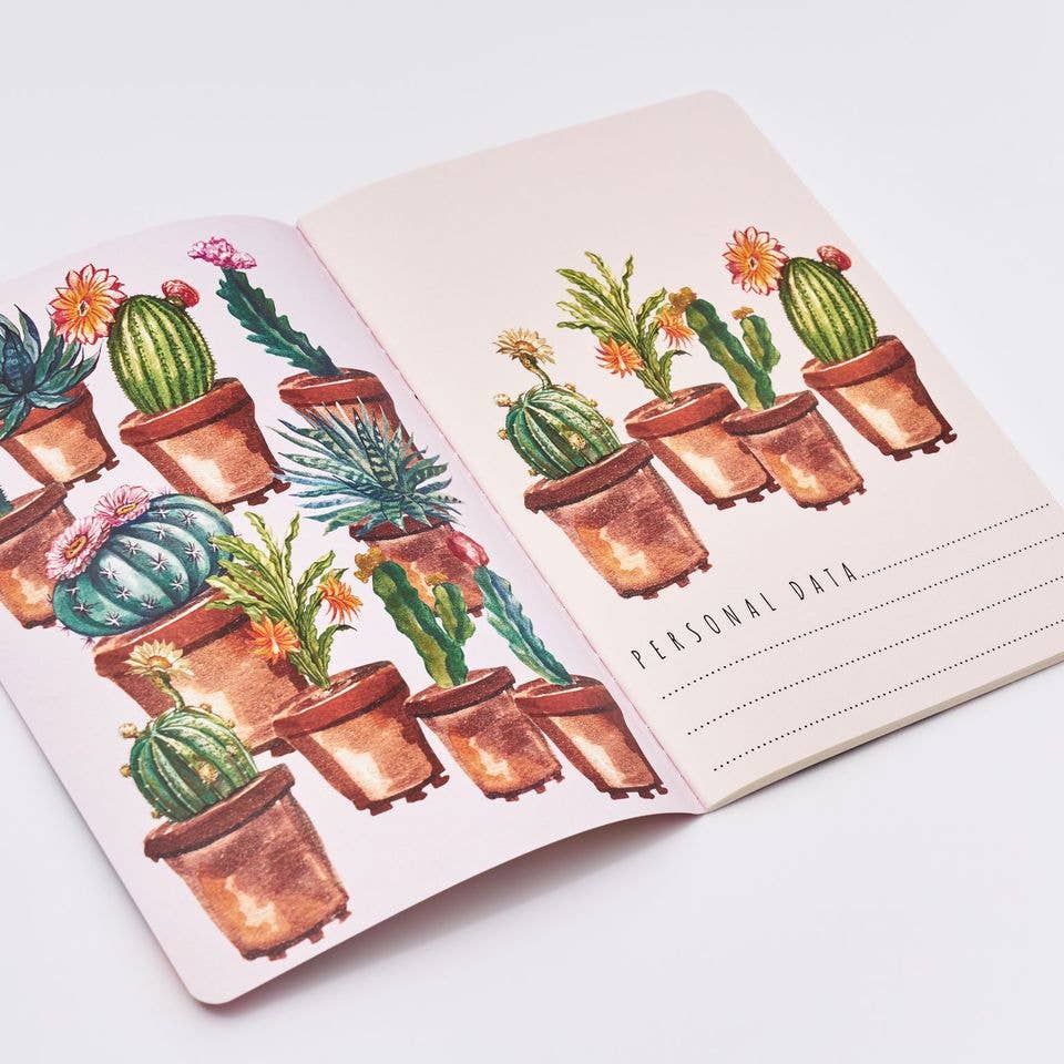 Bruno Visconti- Cactus on Rose Notebook