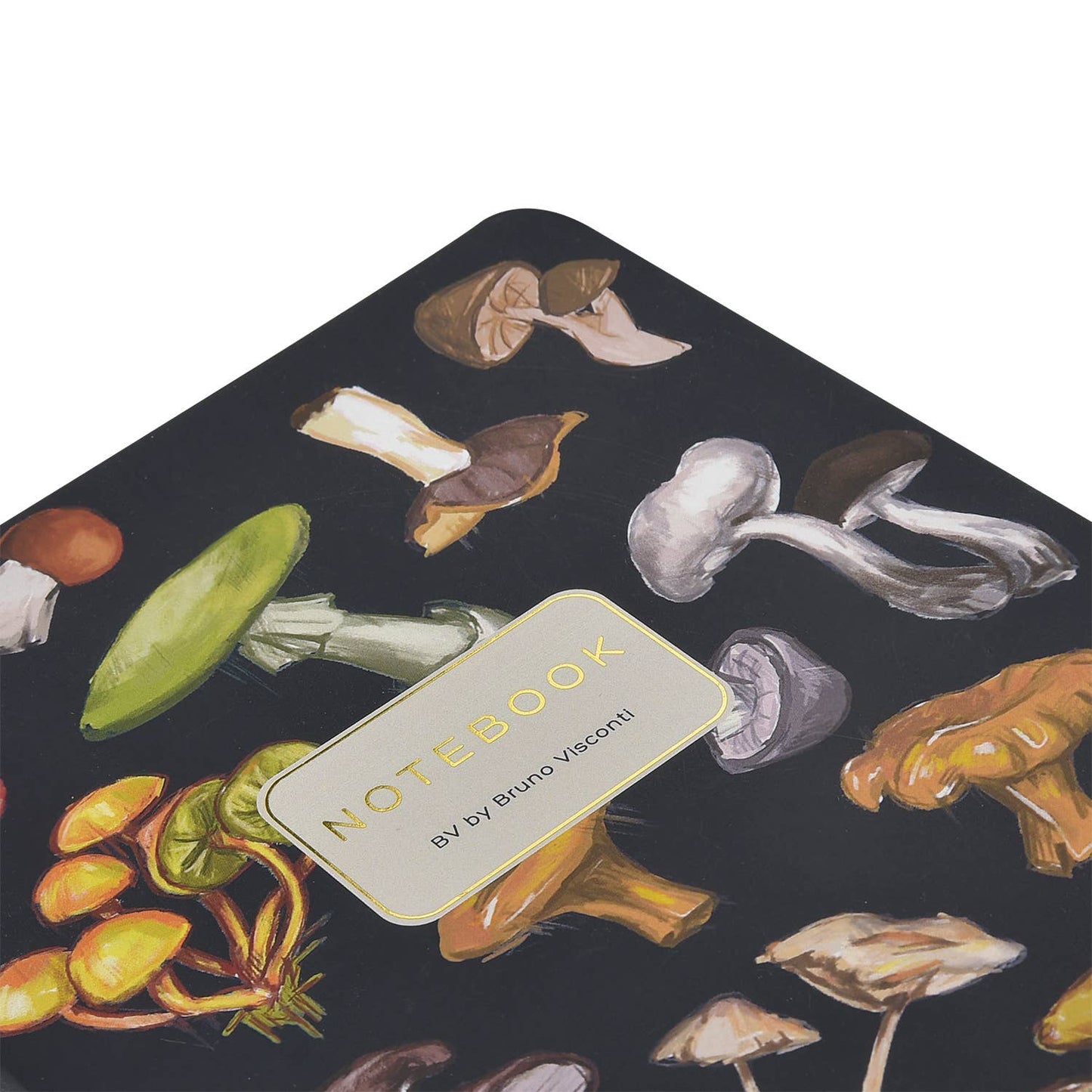 Bruno Visconti- Mushrooms on Black