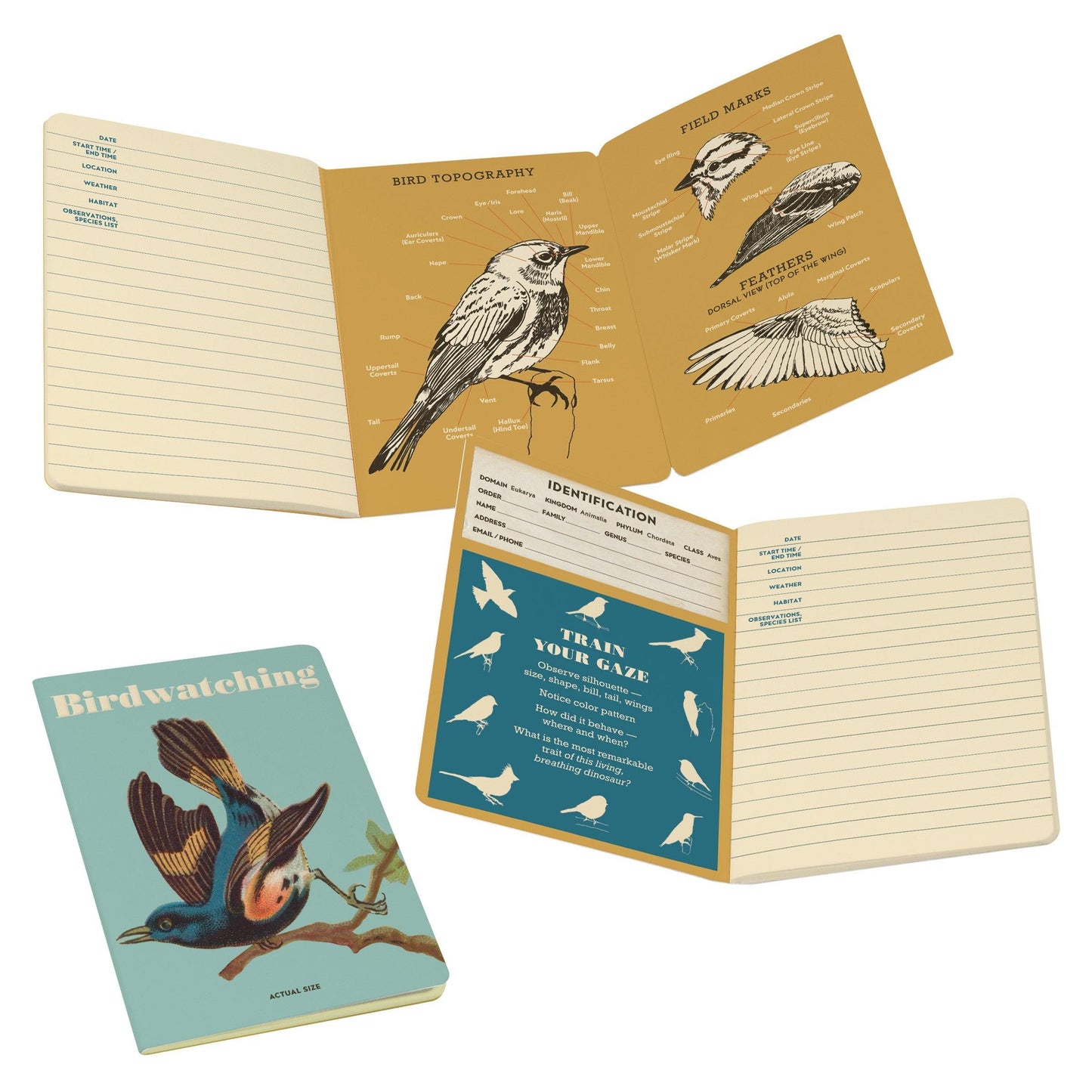 The Unemployed Philosophers Guild Birdwatching Notebook