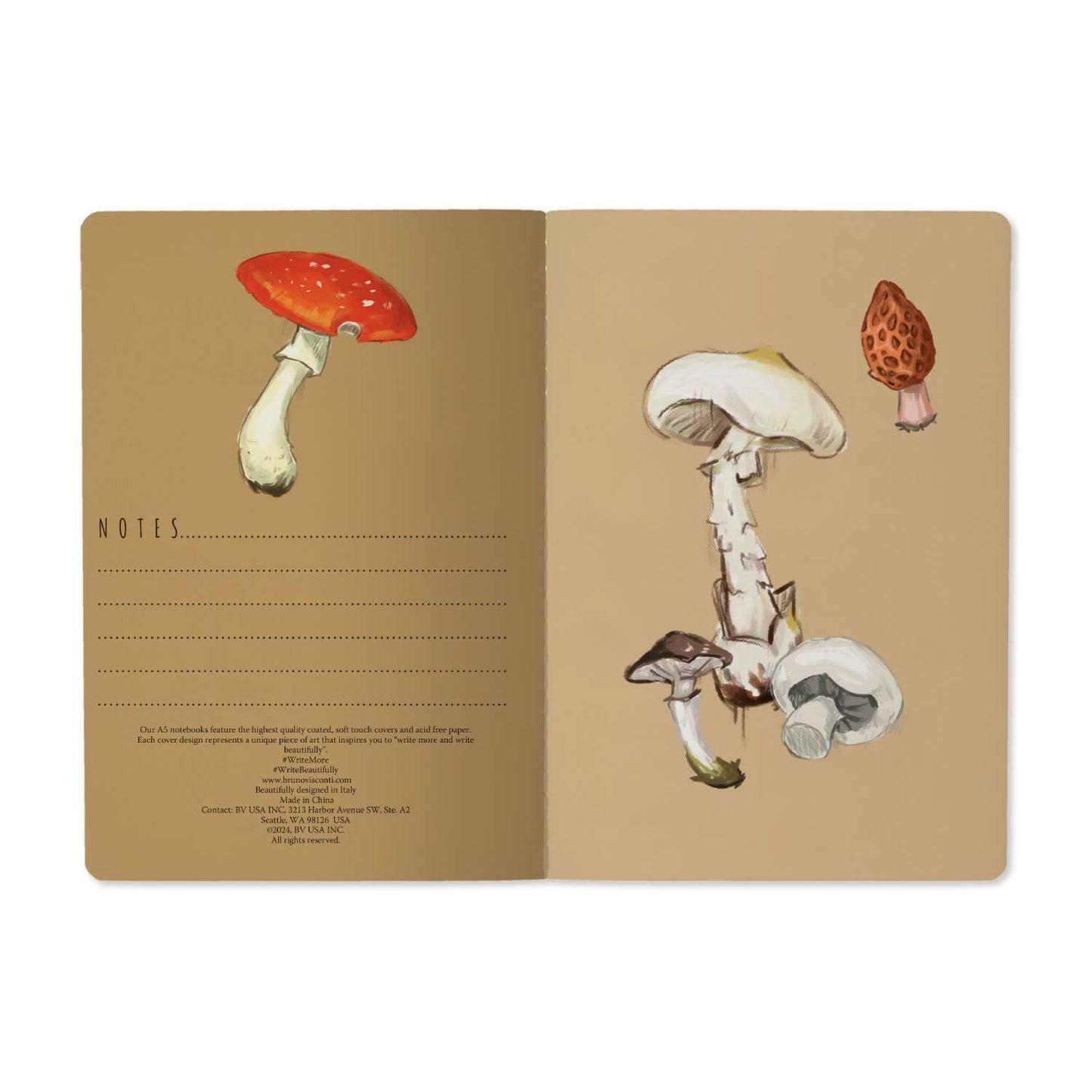 Bruno Visconti- Mushrooms on White