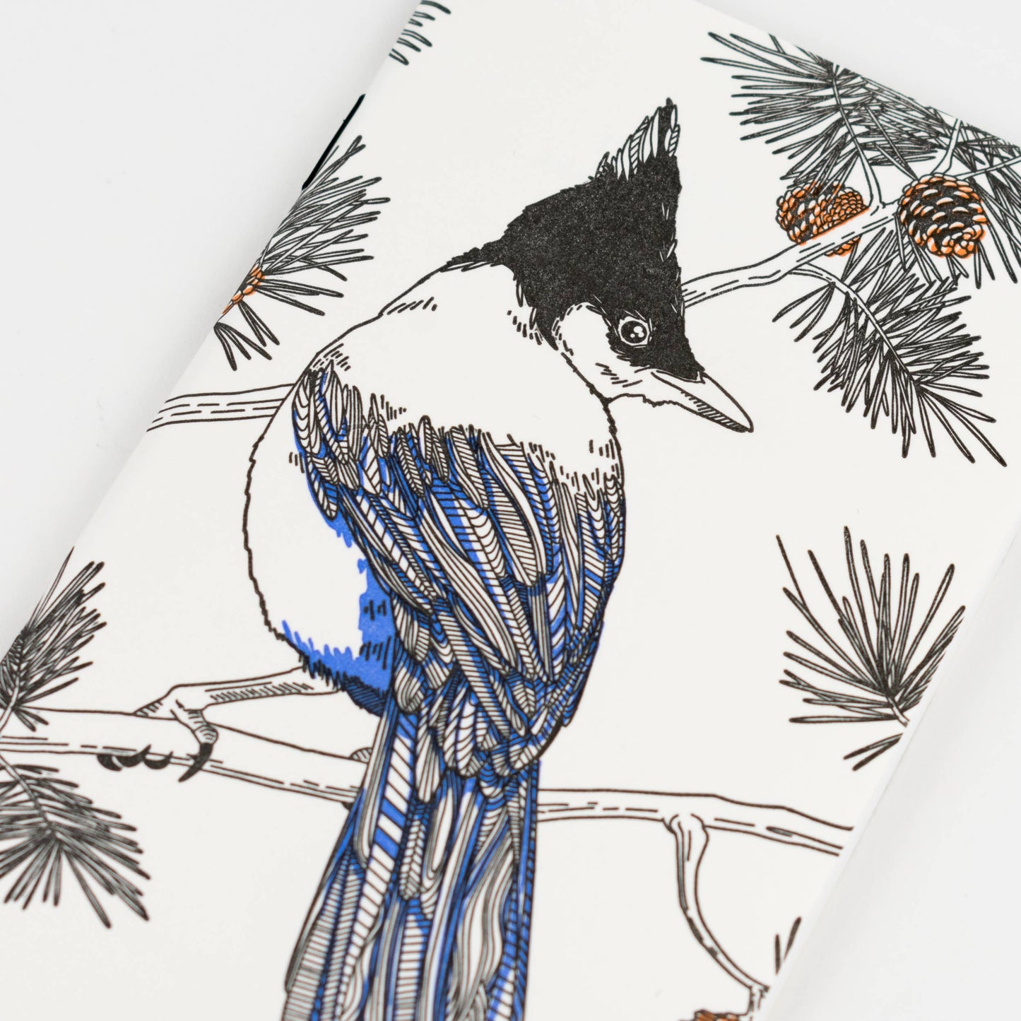 Steller's Jay Nature Birds Series - Pocket Notebook: Plain Pages