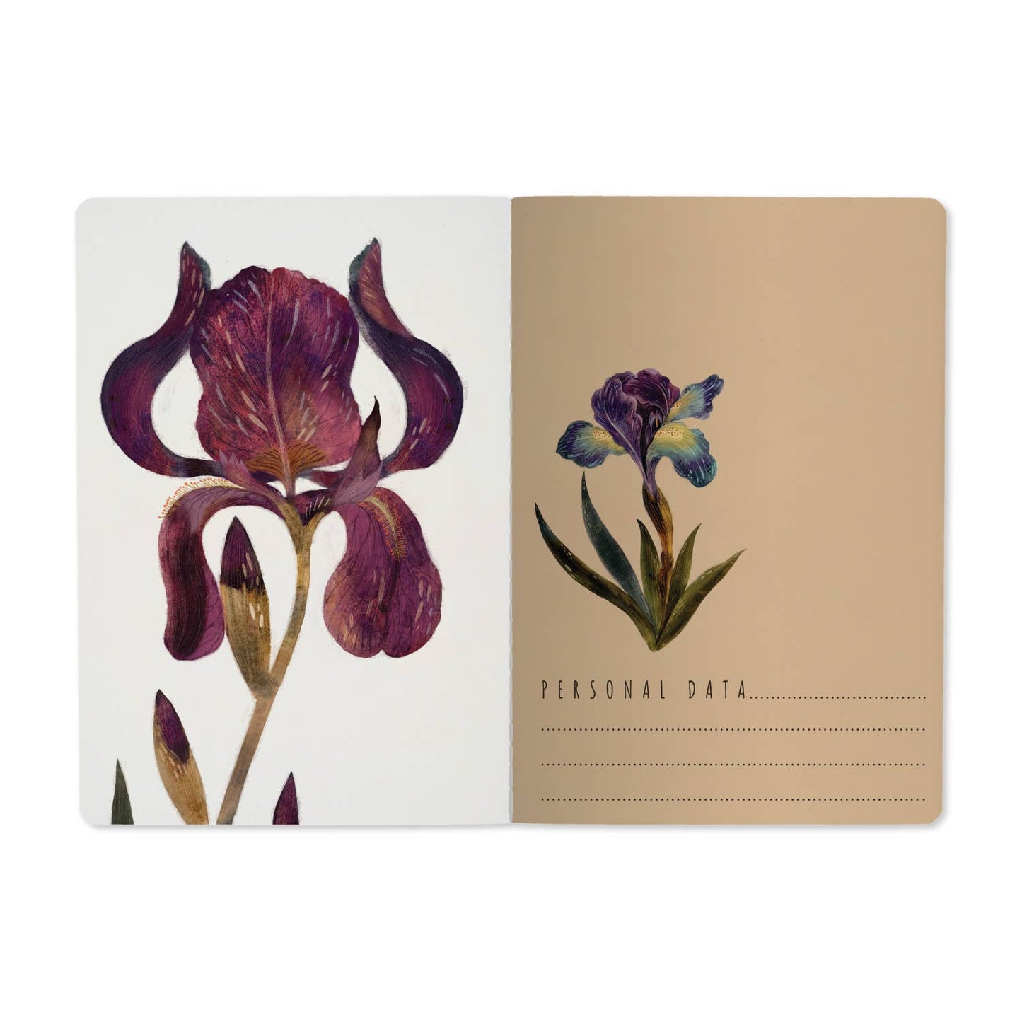 Bruno Visconti- Irises