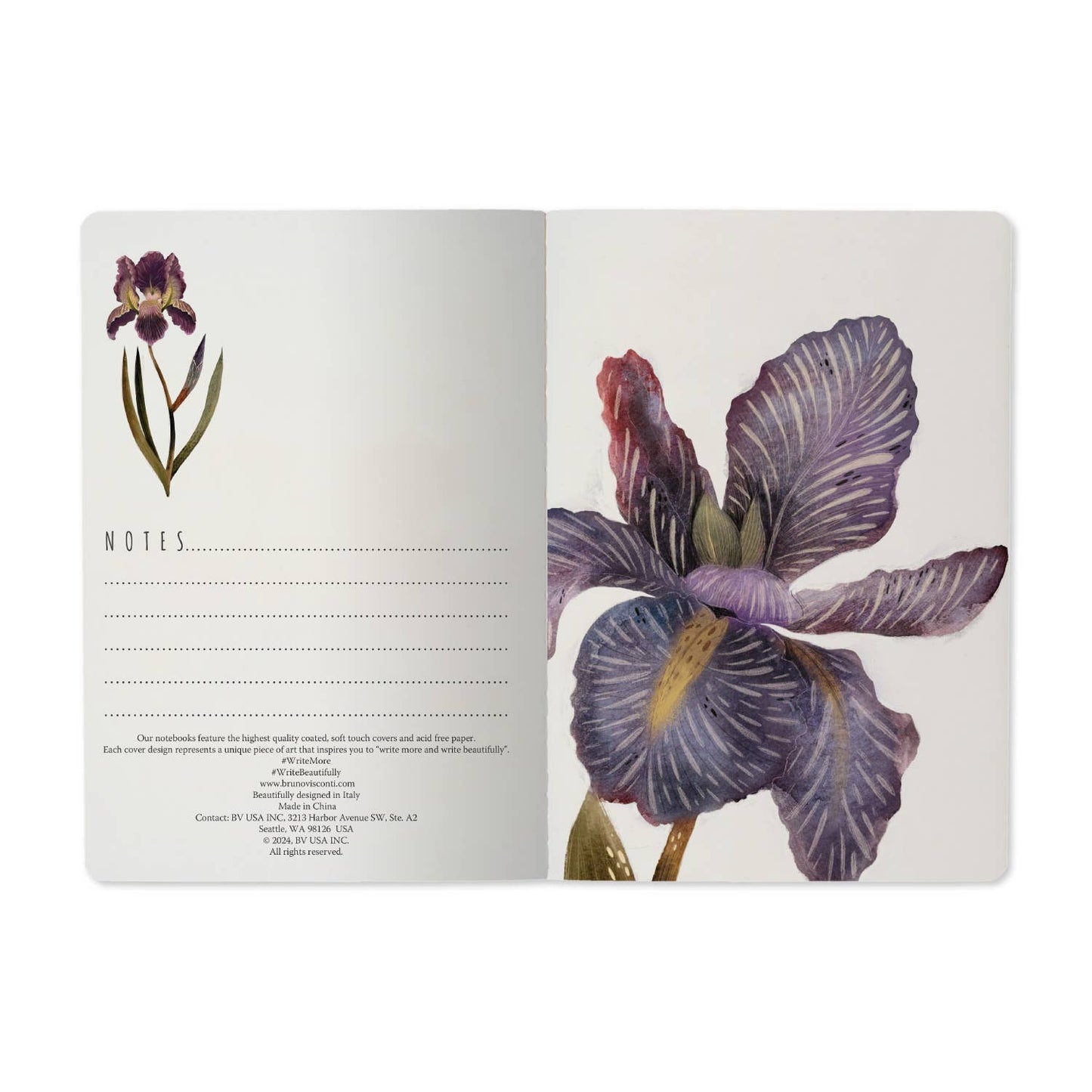 Bruno Visconti- Irises