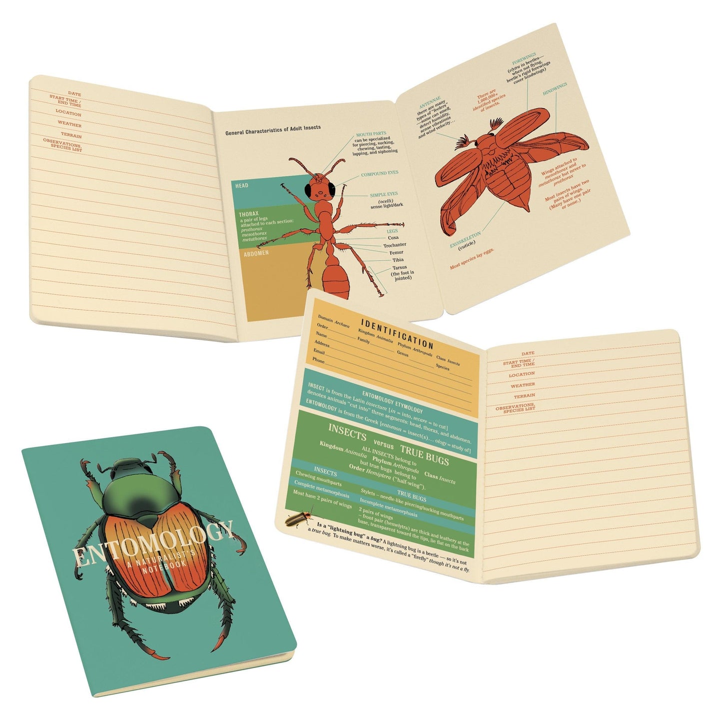 The Unemployed Philosophers Guild Insect (Entomology) Notebook