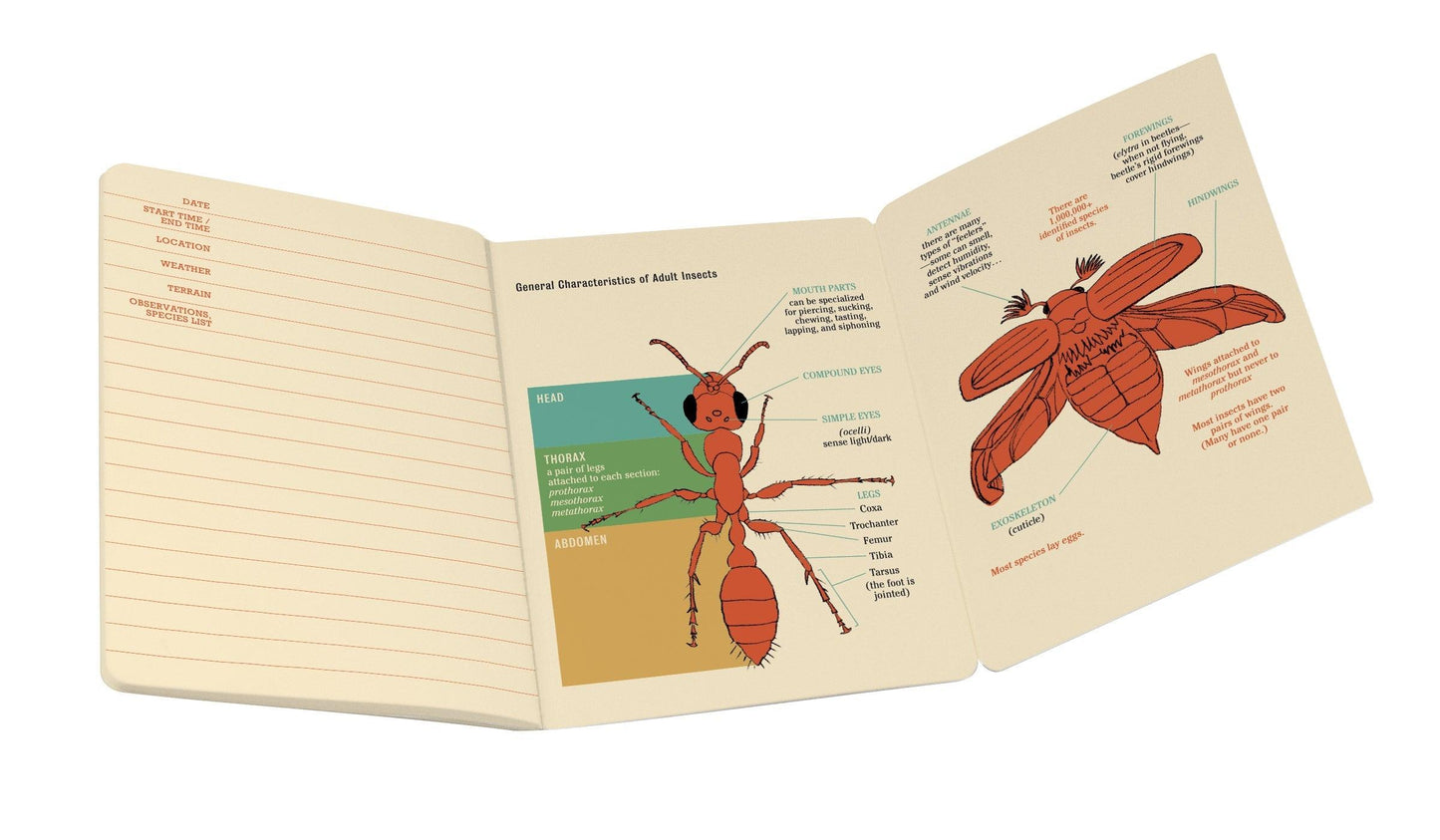 The Unemployed Philosophers Guild Insect (Entomology) Notebook