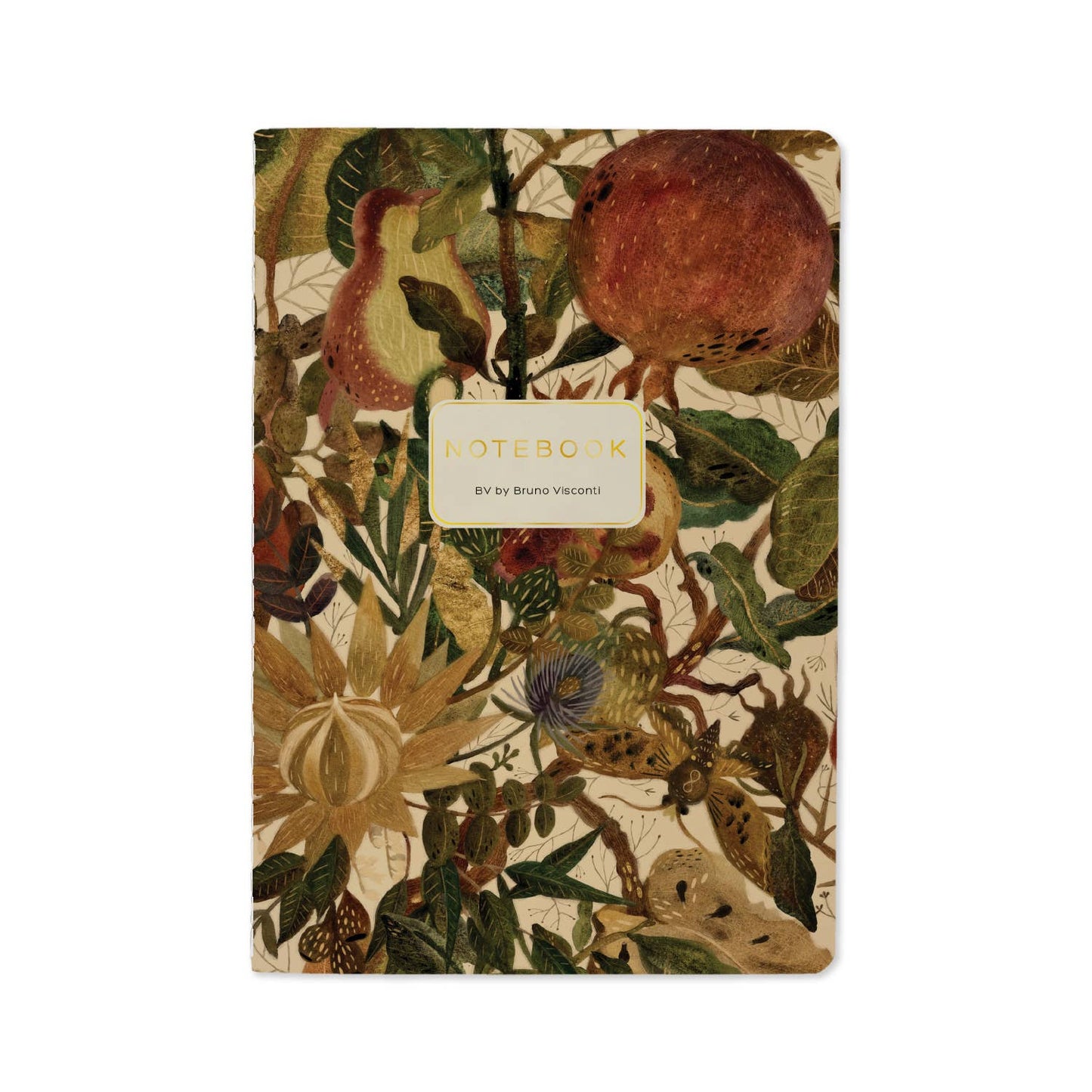 Bruno Visconti-Figs Notebook