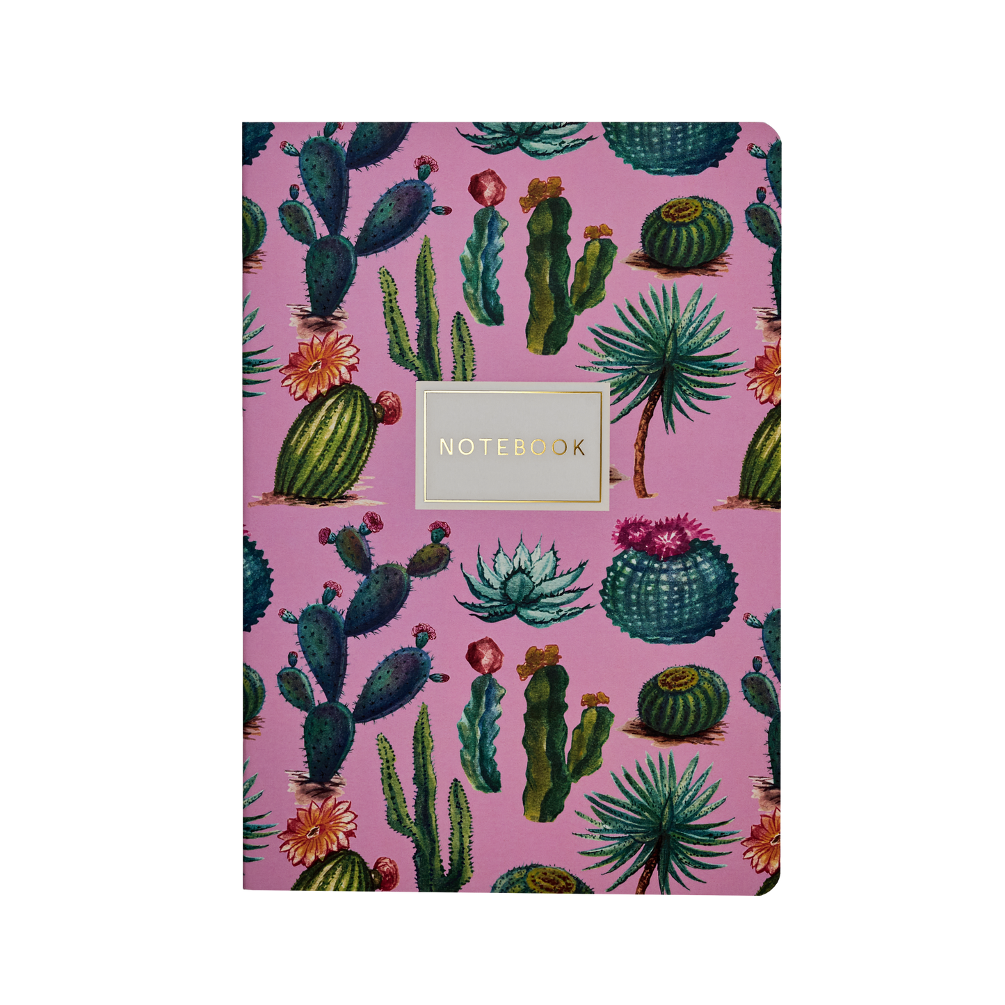 Bruno Visconti- Cactus on Rose Notebook