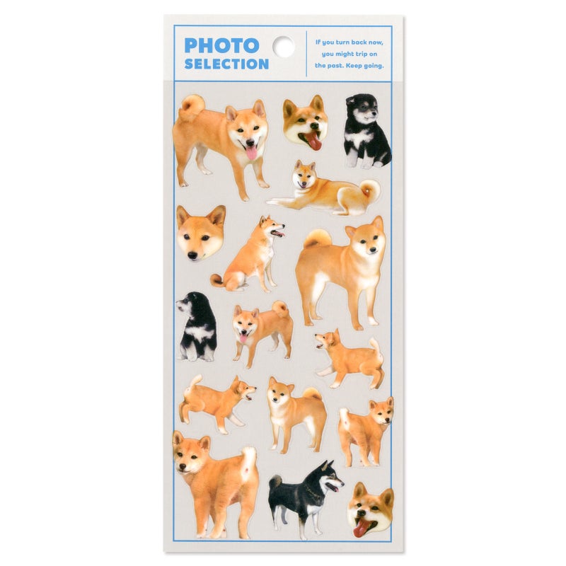 Mindwave Stickers Photo Selection - Shiba Inu