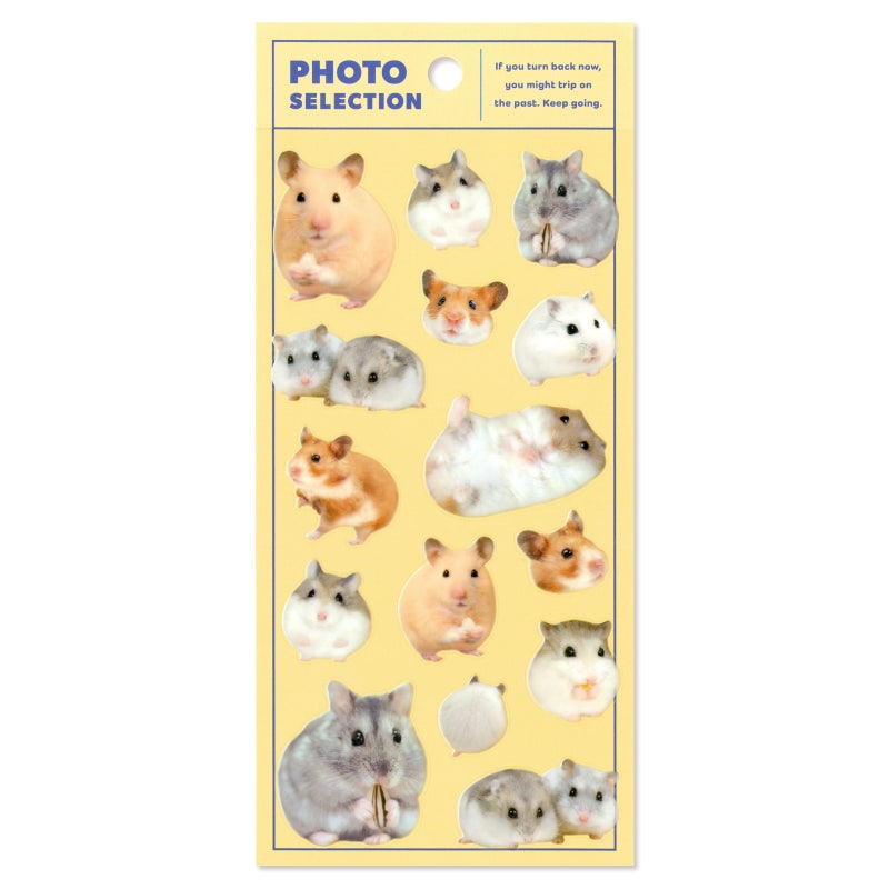 Mindwave Stickers Photo Selection - Hamsters