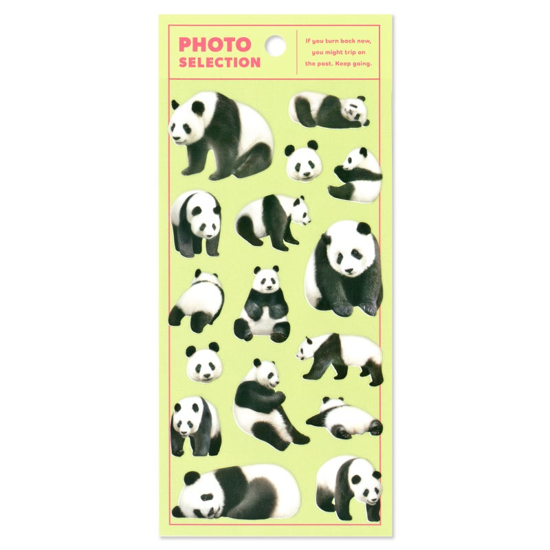 Mindwave Stickers Photo Selection - Panda