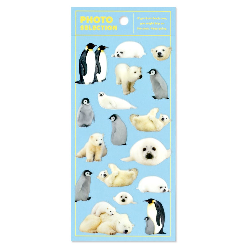 Mindwave Stickers Photo Selection - Creatures of Cold Regions