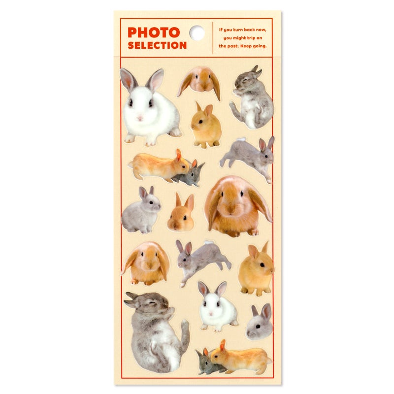 Mindwave Stickers Photo Selection - Rabbits