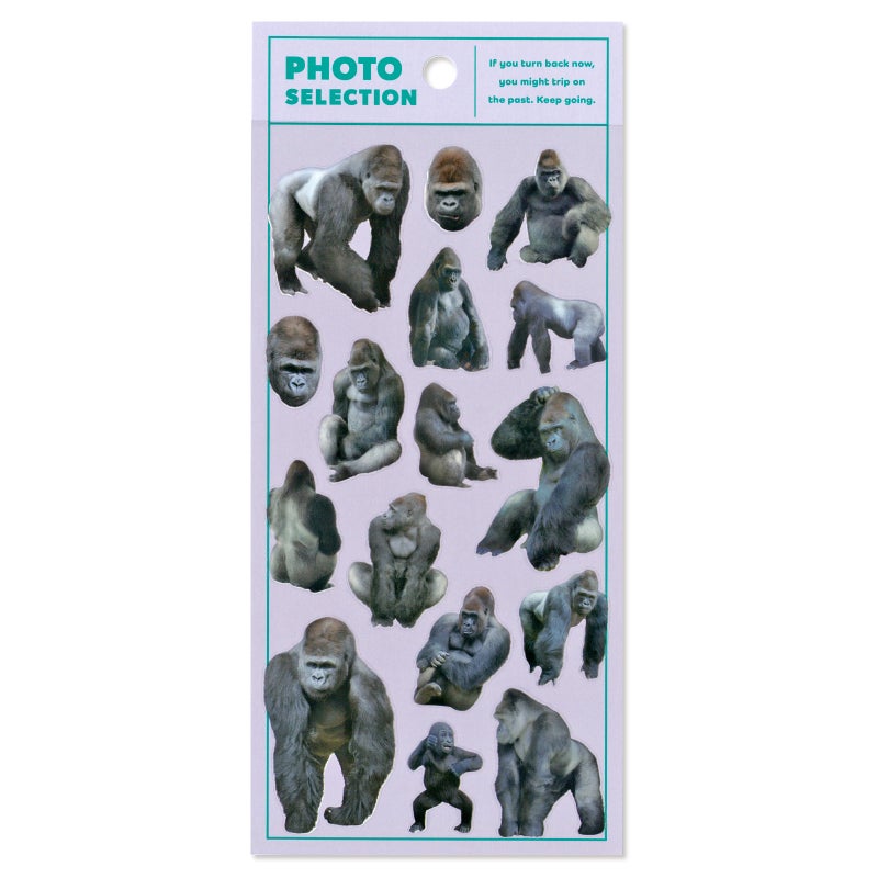 Mindwave Stickers Photo Selection - Gorilla