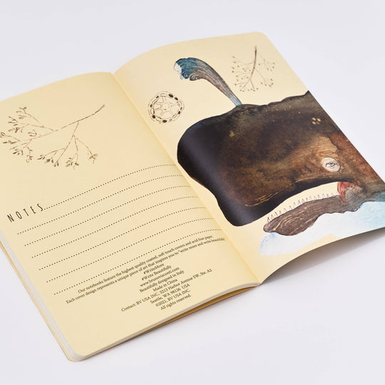 Bruno Visconti-Whales Notebook