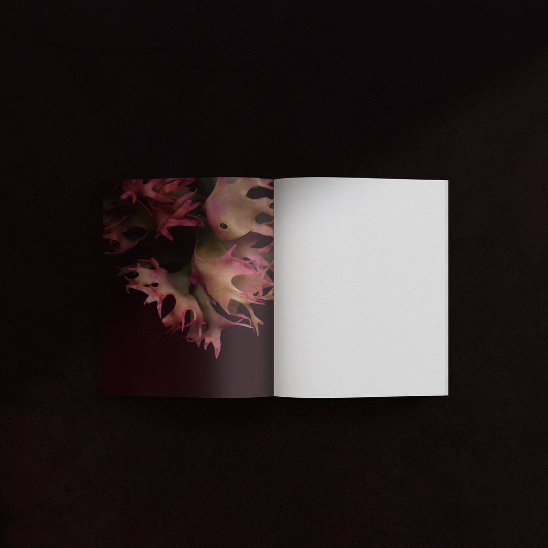 Mini-Notebook / Irish Moss Serie No.1 — La Rose