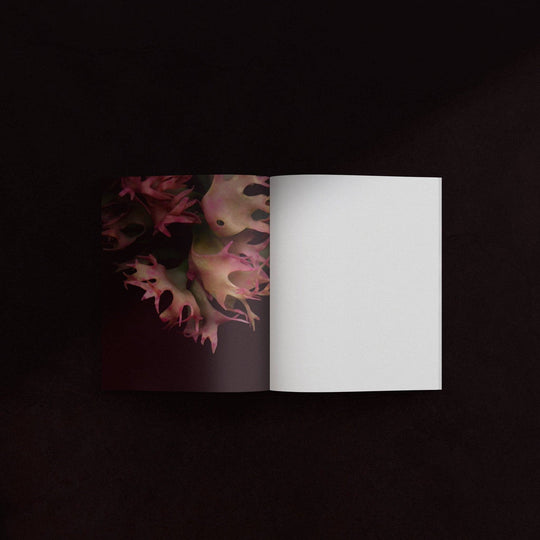 Mini-Notebook / Irish Moss Serie No.1 — La Rose
