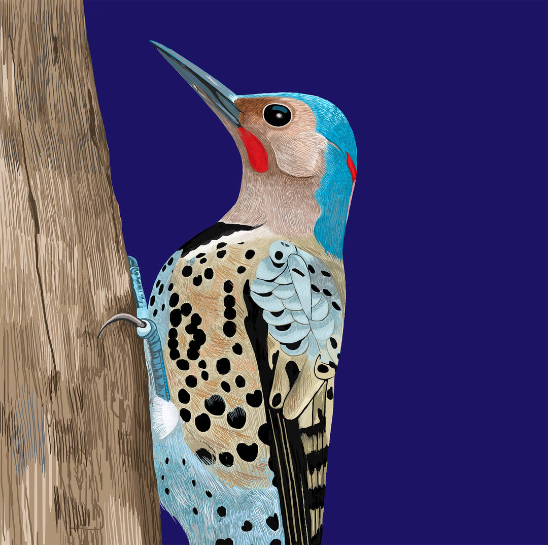 Northern Woodpecker Bird Greeting Card