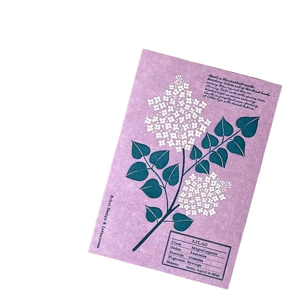 Echos Design &amp; Letterpress Postcard Flower White Spring - Lilac