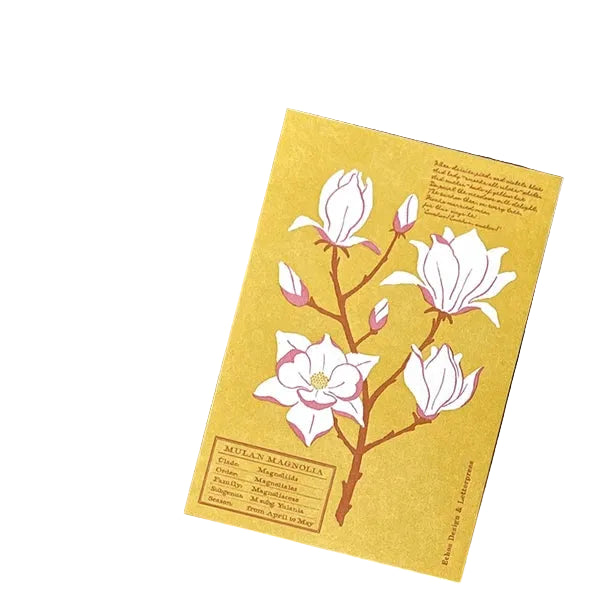 Echos Design &amp; Letterpress Postcard Flower White Spring - Magnolia