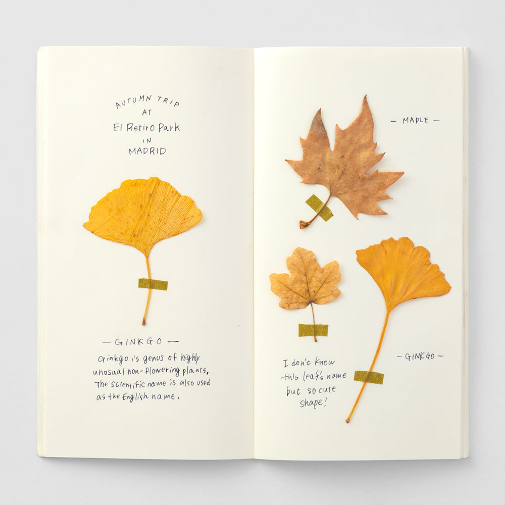 TRAVELER'S notebook 025 Cream Paper Refill - Regular