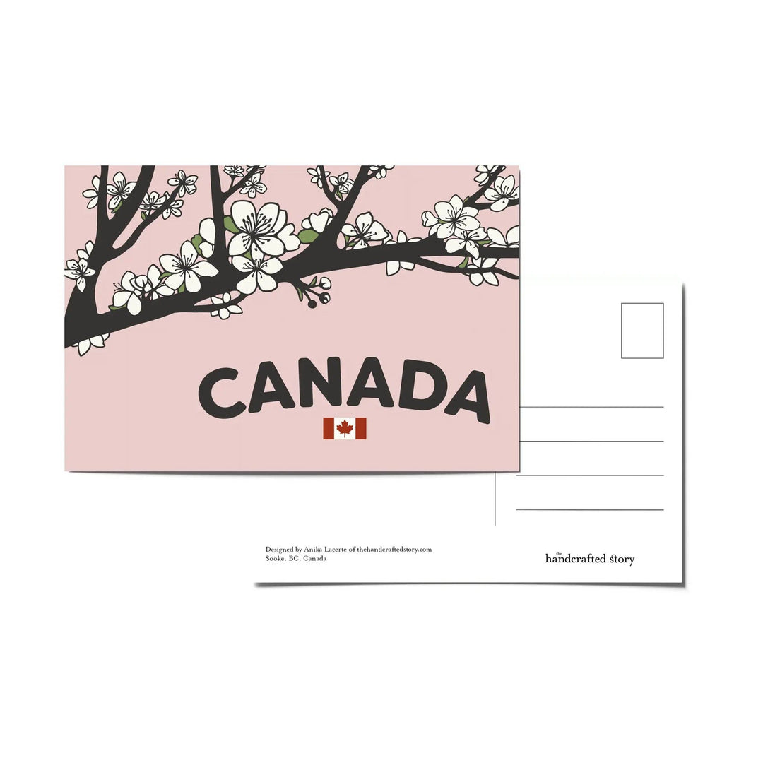 Canada Cherry Blossoms Postcard