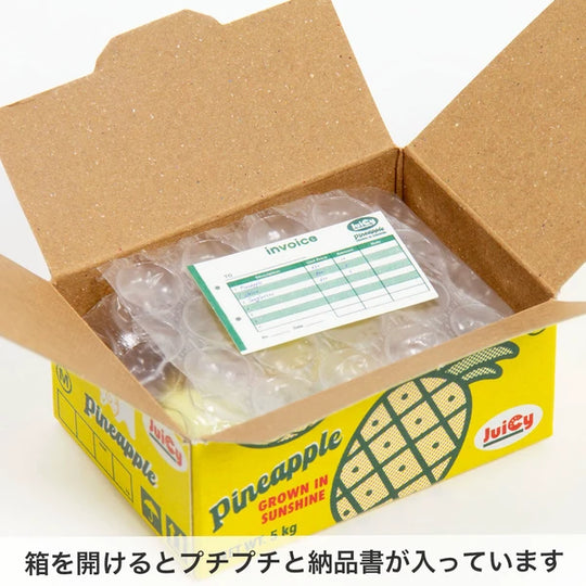 Haco Boxed Flake Stickers- Pineapple