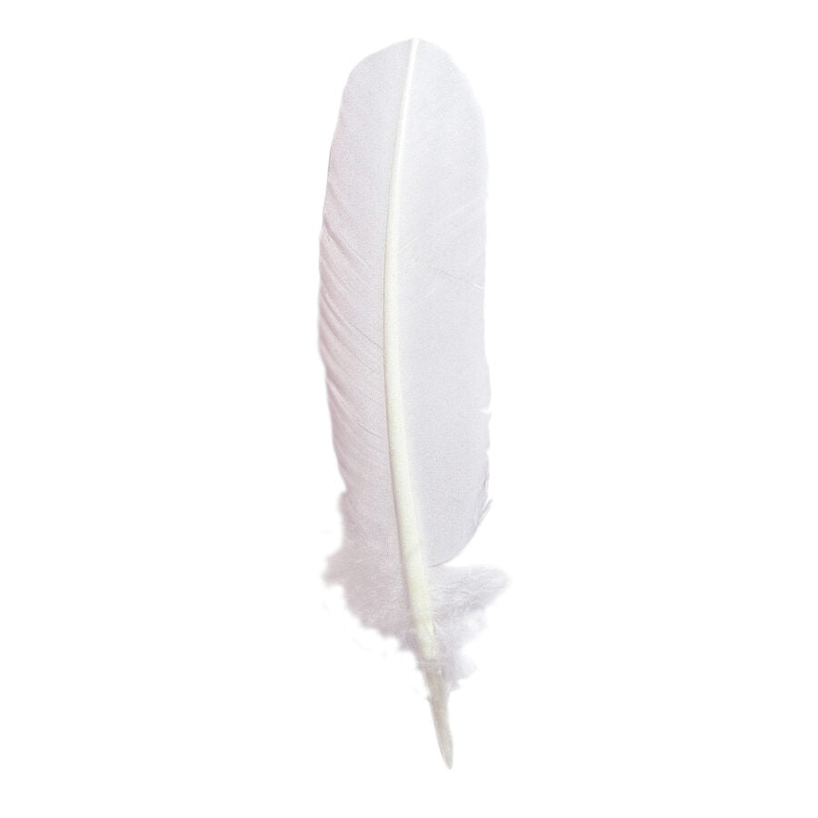 Jacques Herbin Quill Dip Pen