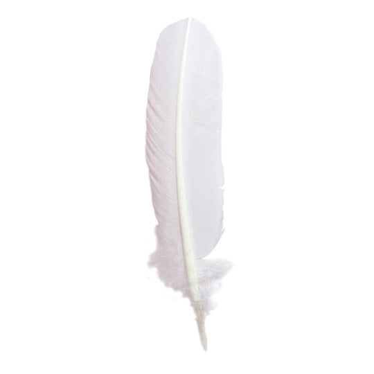 Jacques Herbin Quill Dip Pen