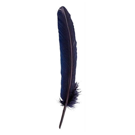 Jacques Herbin Quill Dip Pen