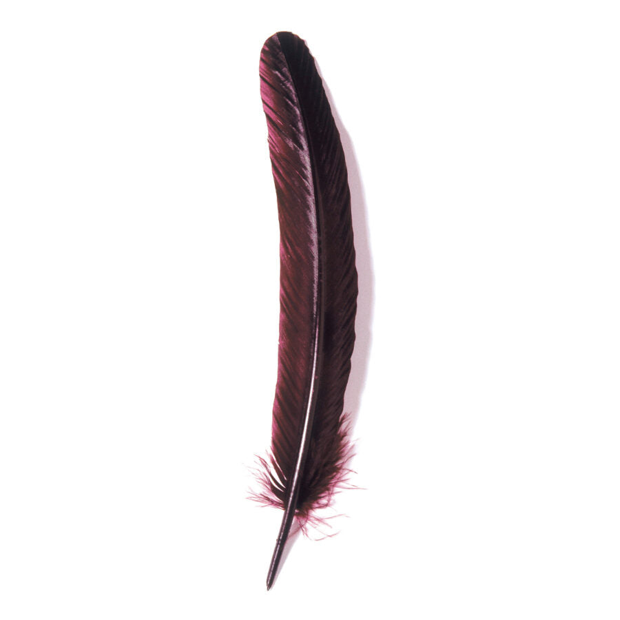 Jacques Herbin Quill Dip Pen