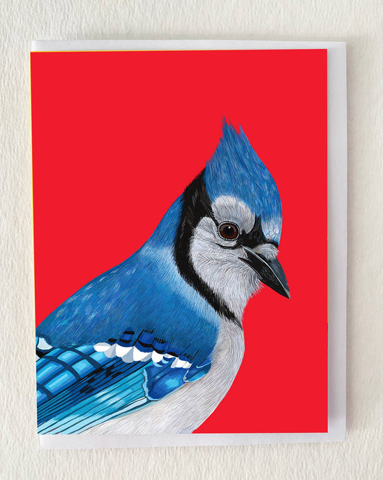 Blue Jay Bird Portrait Greeting Card