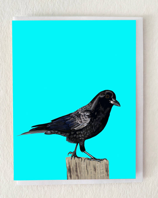 American Black Crow Bird Greeting Card