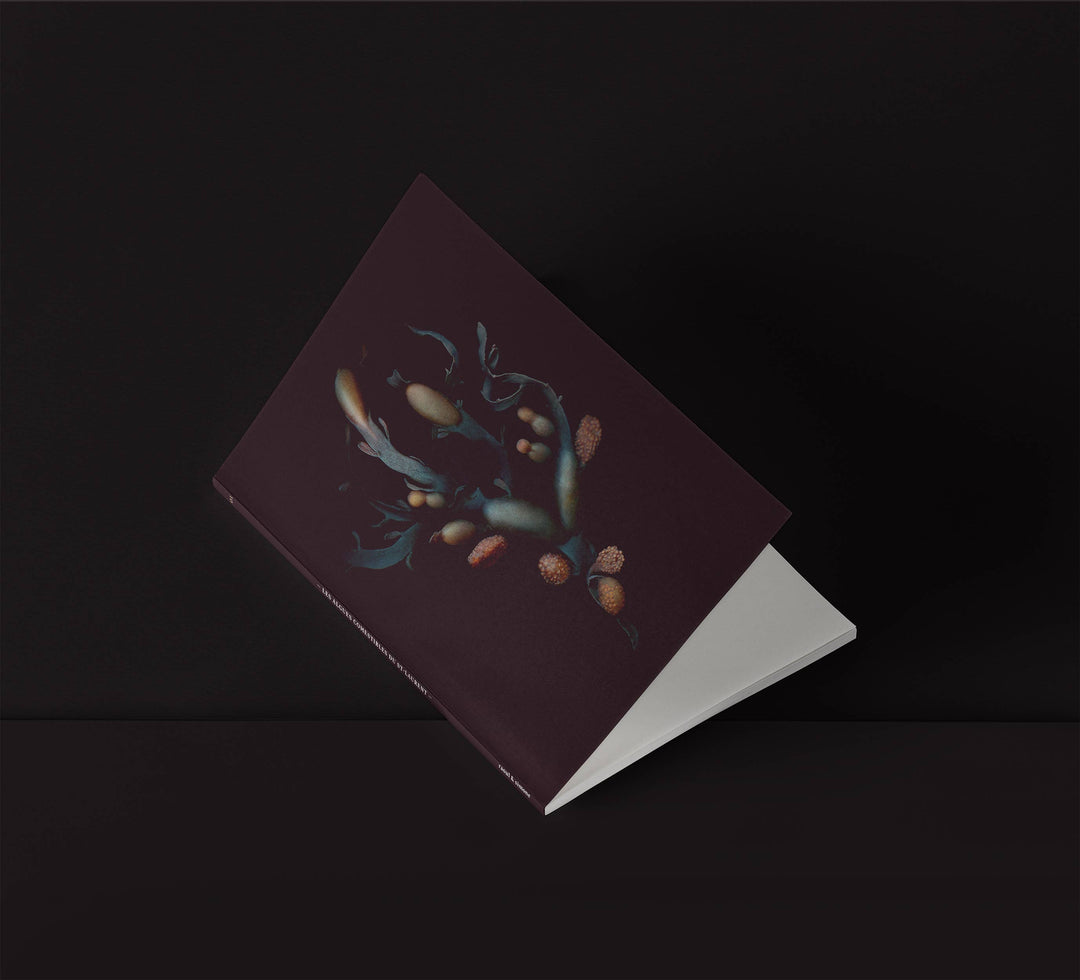 MINI-NOTEBOOK / Rockweed