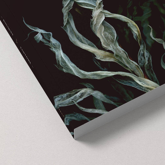 Notebook / Fantôme