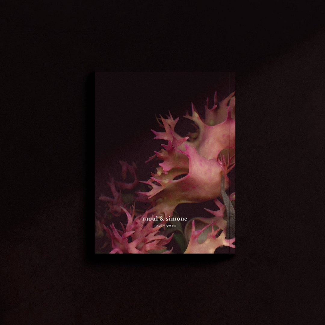 Mini-Notebook / Irish Moss Serie No.1 — La Rose
