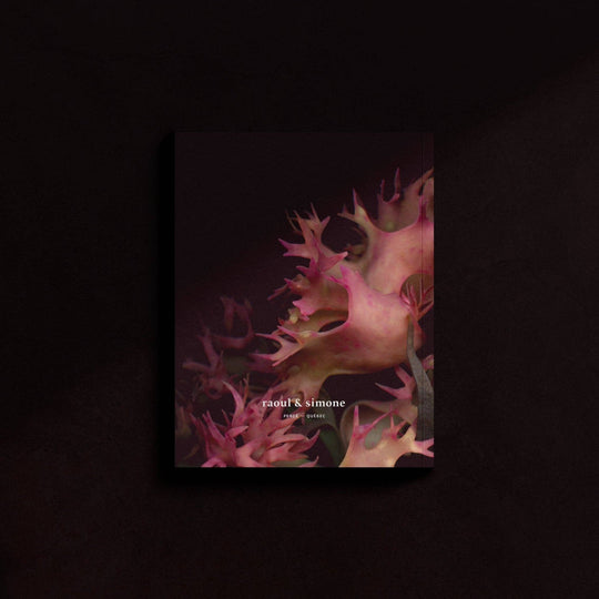Mini-Notebook / Irish Moss Serie No.1 — La Rose