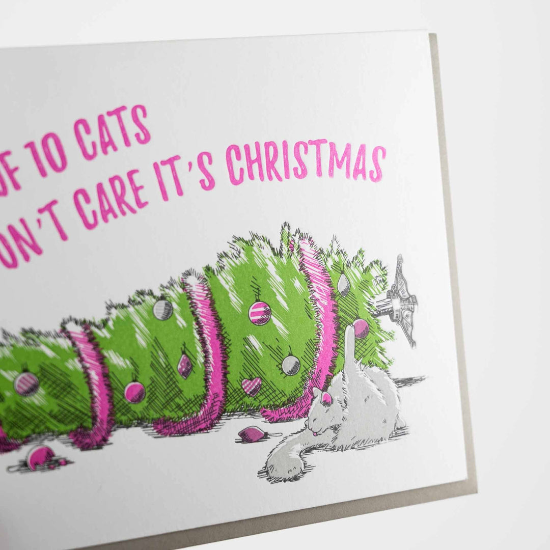Card: Cats Don&
