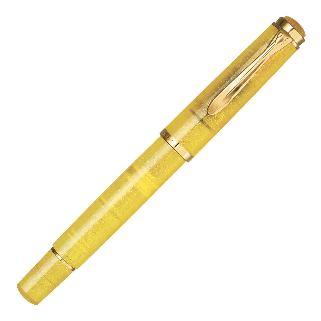 Pelikan │  Special Edition Classic 200 Pyrite Fountain Pen