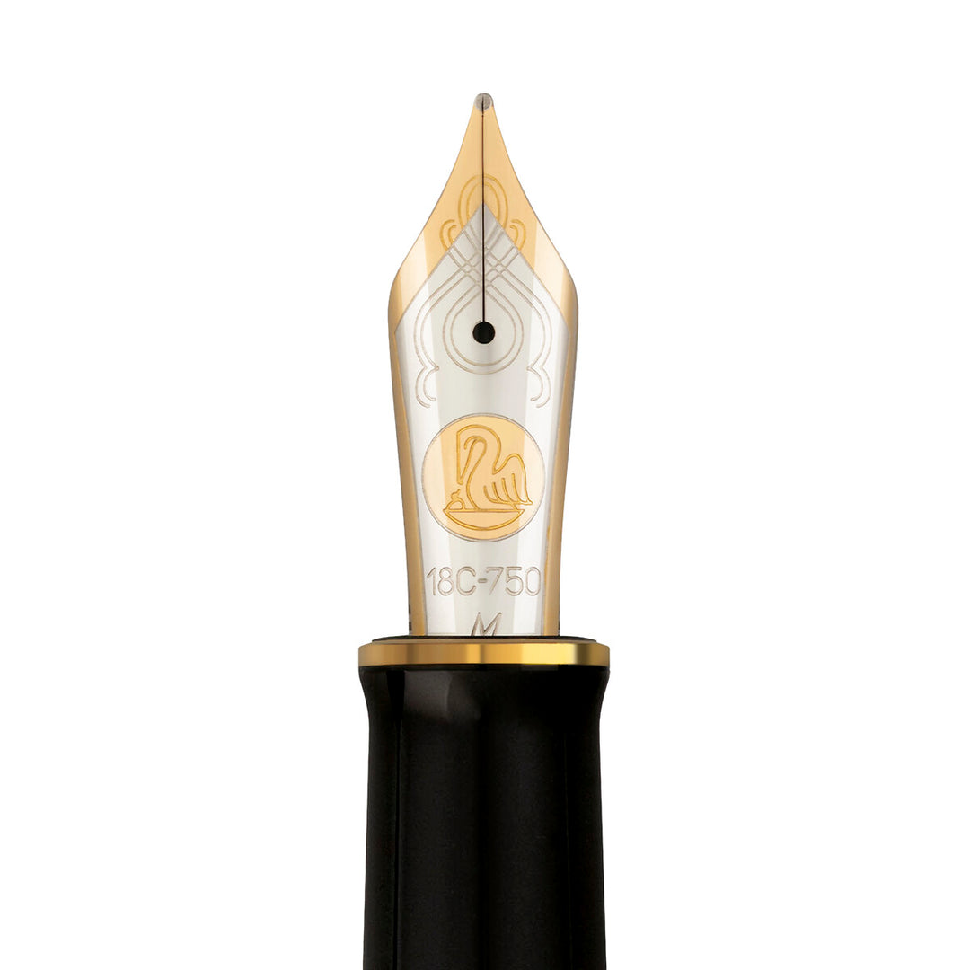 Pelikan Souverän M1000 Raden Stardust Fountain Pen Limited Edition 83/1000