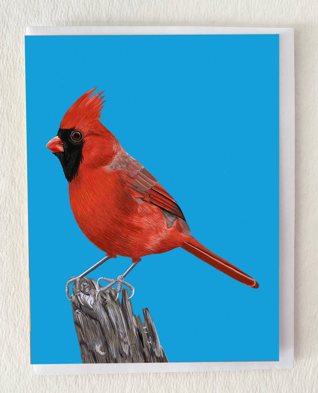 Red Cardinal Bird on Tree Stump Greeting Card