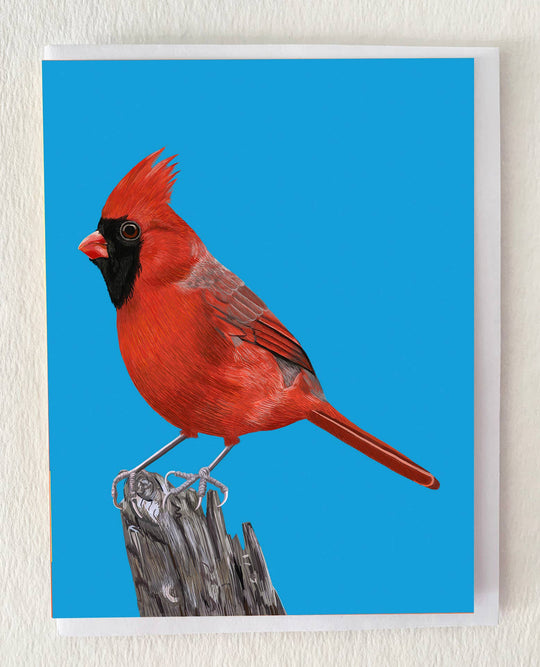 Red Cardinal Bird on Tree Stump Greeting Card