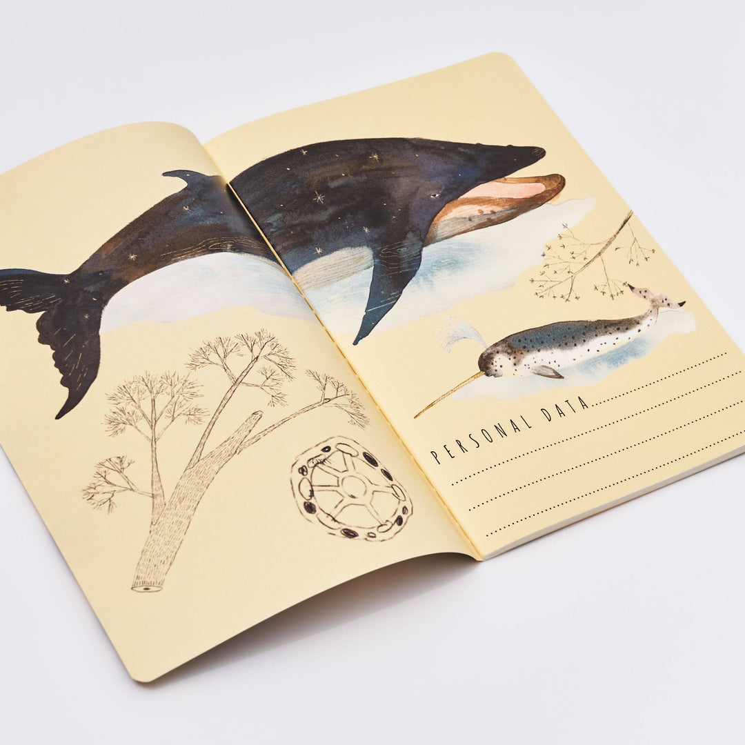 Bruno Visconti-Whales Notebook