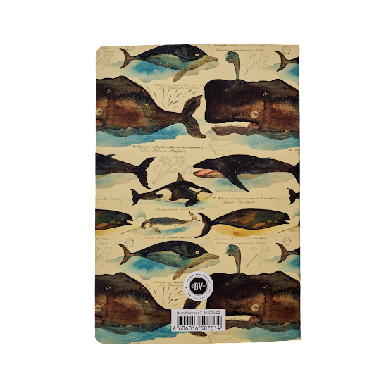 Bruno Visconti-Whales Notebook